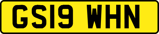 GS19WHN