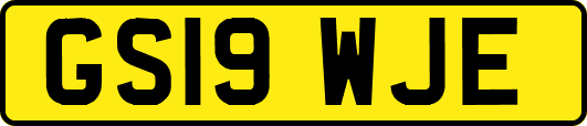 GS19WJE