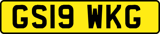 GS19WKG