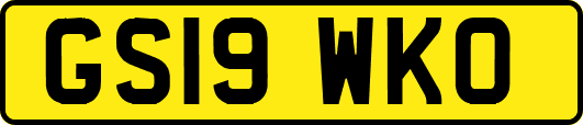 GS19WKO