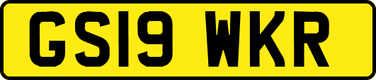GS19WKR