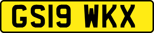 GS19WKX
