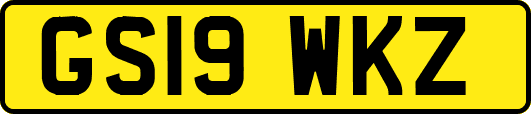 GS19WKZ