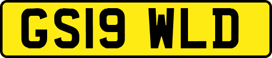GS19WLD