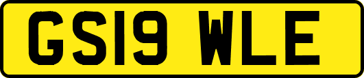 GS19WLE
