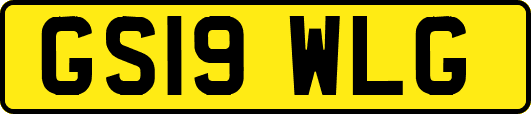 GS19WLG