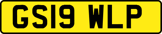 GS19WLP