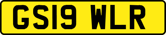 GS19WLR