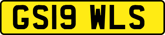 GS19WLS