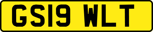 GS19WLT