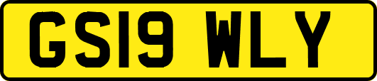 GS19WLY