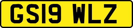 GS19WLZ