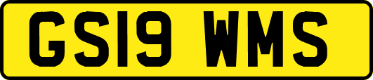 GS19WMS