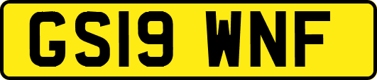 GS19WNF
