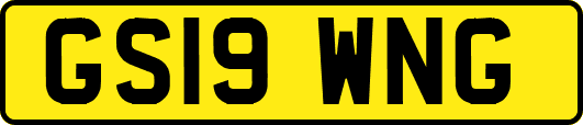 GS19WNG