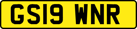 GS19WNR