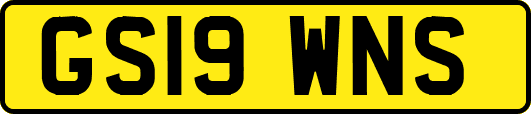 GS19WNS