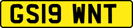 GS19WNT
