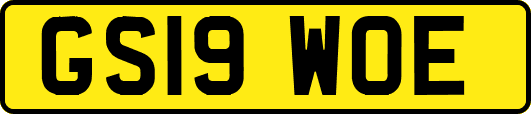 GS19WOE
