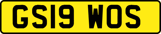 GS19WOS