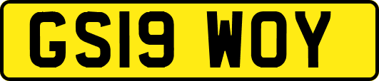 GS19WOY