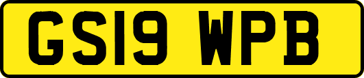 GS19WPB