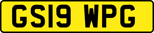 GS19WPG