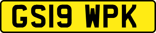 GS19WPK