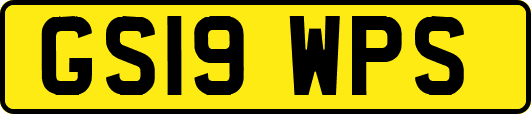 GS19WPS