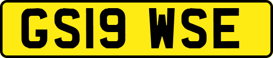 GS19WSE