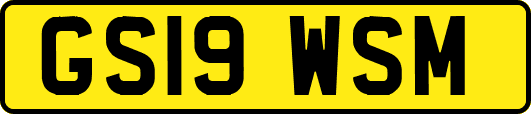 GS19WSM
