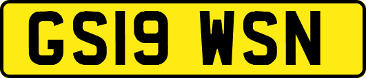 GS19WSN