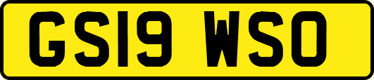 GS19WSO