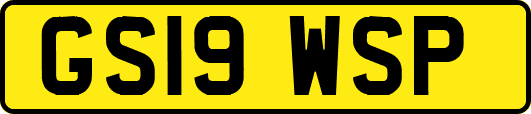 GS19WSP
