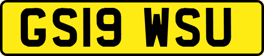 GS19WSU