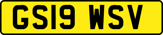 GS19WSV