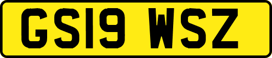 GS19WSZ