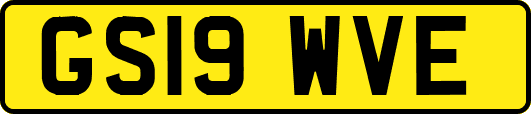 GS19WVE
