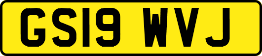 GS19WVJ