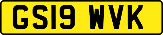 GS19WVK