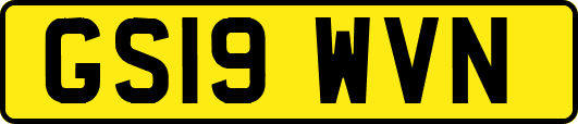 GS19WVN