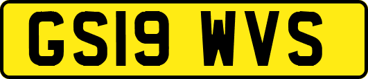 GS19WVS
