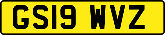 GS19WVZ