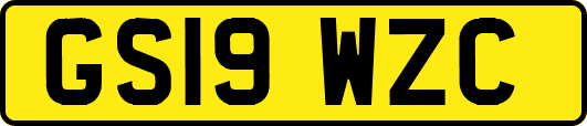 GS19WZC