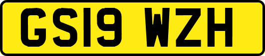 GS19WZH