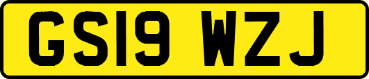 GS19WZJ