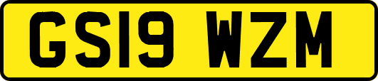 GS19WZM