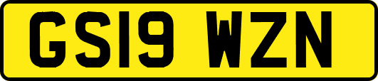 GS19WZN