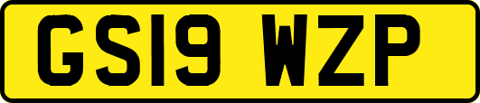 GS19WZP