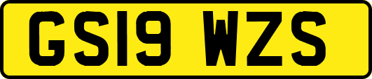 GS19WZS